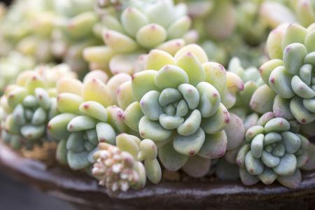 ձͣ׼뾳 Ӣ䶨ڿ˺ͣ